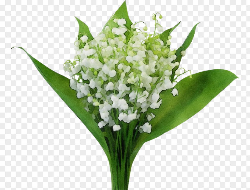 Flower Bouquet PNG