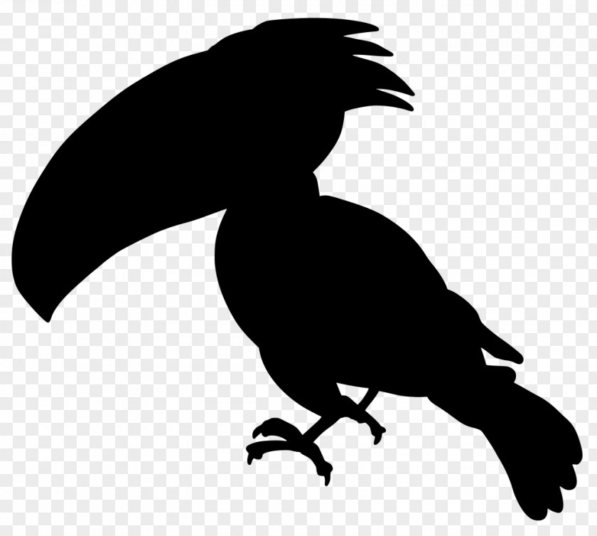 Silhouette Bird Of Prey Beak Wing Claw Tail PNG