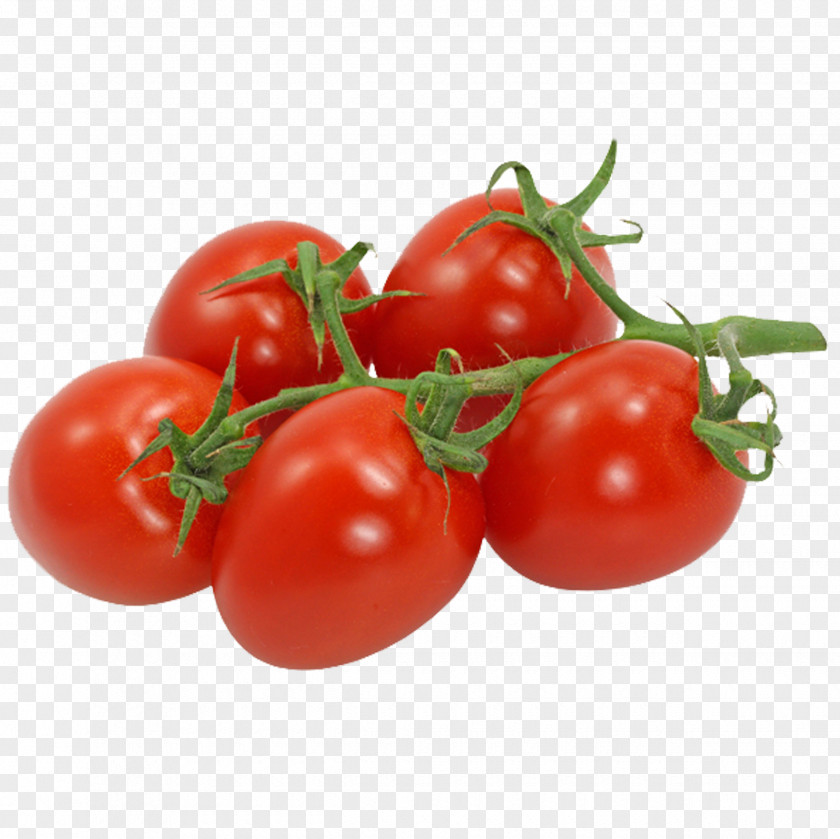 Tomato Smoothie Village Pizza Cherry Vegetable PNG