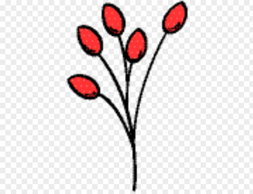 Tree Plant Of Life PNG