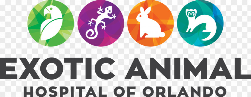 Exotic Animals Animal Hospital Of Orlando Veterinarian Pet PNG