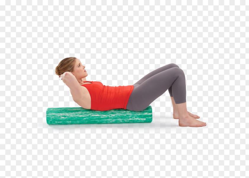 Foam Roller Northampton Physical Therapy Exercise Fascia Training Stretching PNG