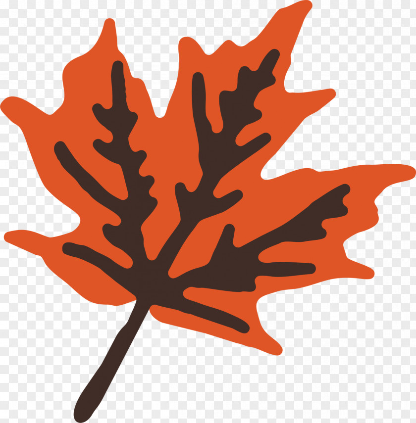 Happy Canada Day Abstract Leaf Clip Art Tree Flowering Plant Plants PNG