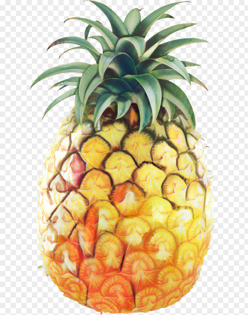 Pineapple Juice Clip Art Image PNG