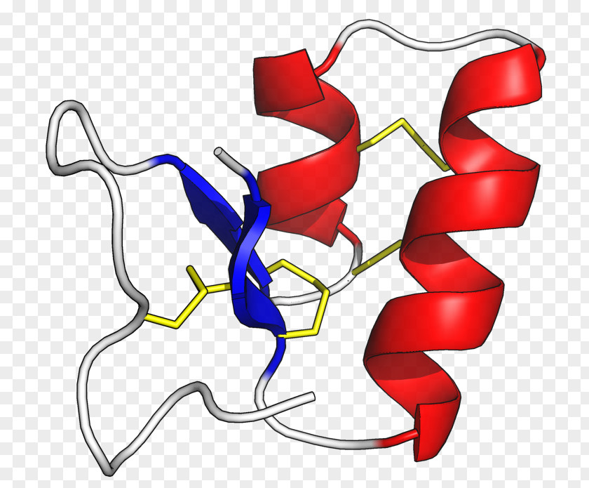 Plants Thionin Protein Amino Acid Peptide PNG