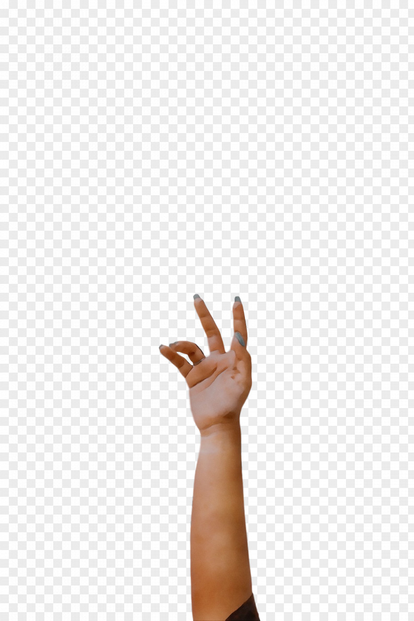 Sign Language Hand Model H&m PNG