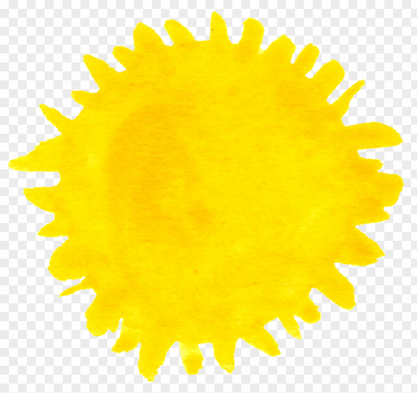 Sun In Touch Weekly Animation PNG