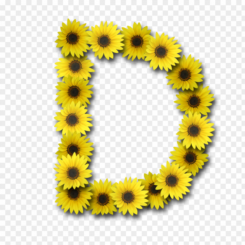 Sunflower Letter Alphabet Video Font PNG