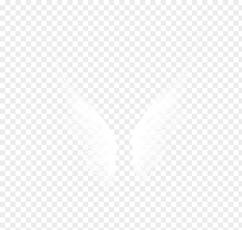 Wings Pattern White Cloud PNG