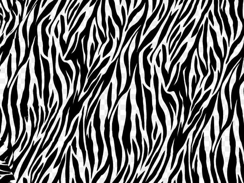 Zebra Animal Print Desktop Wallpaper Printing Clip Art PNG