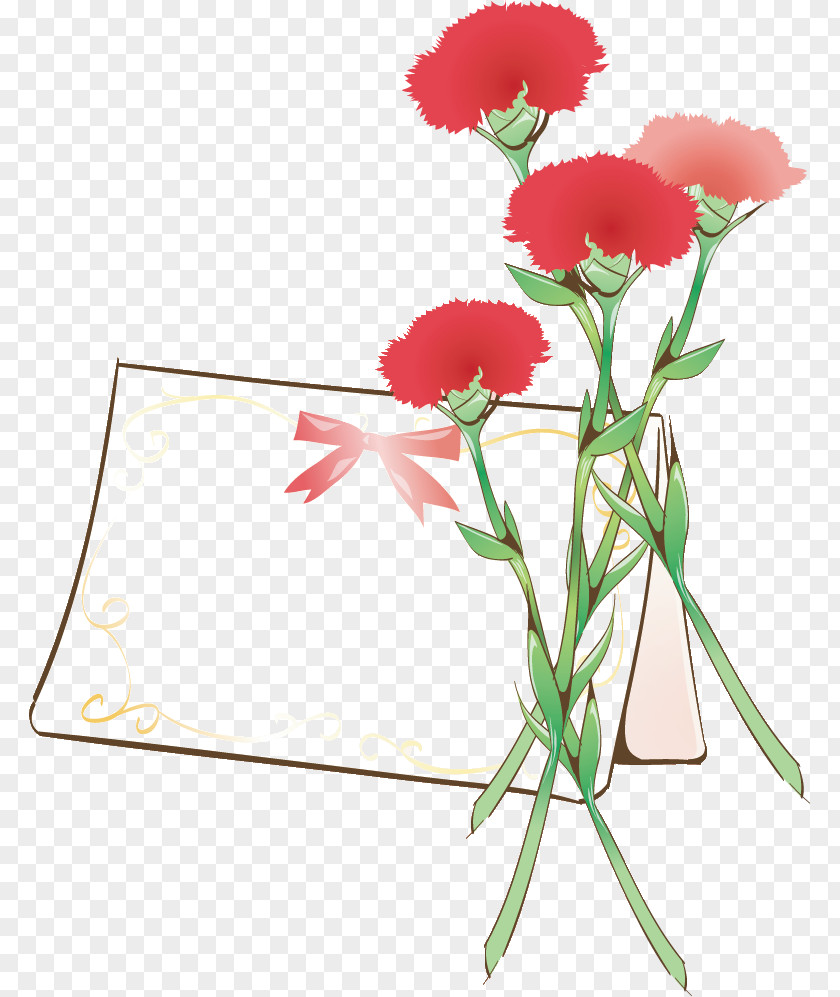 Carnation frame Flower Frame Floral PNG