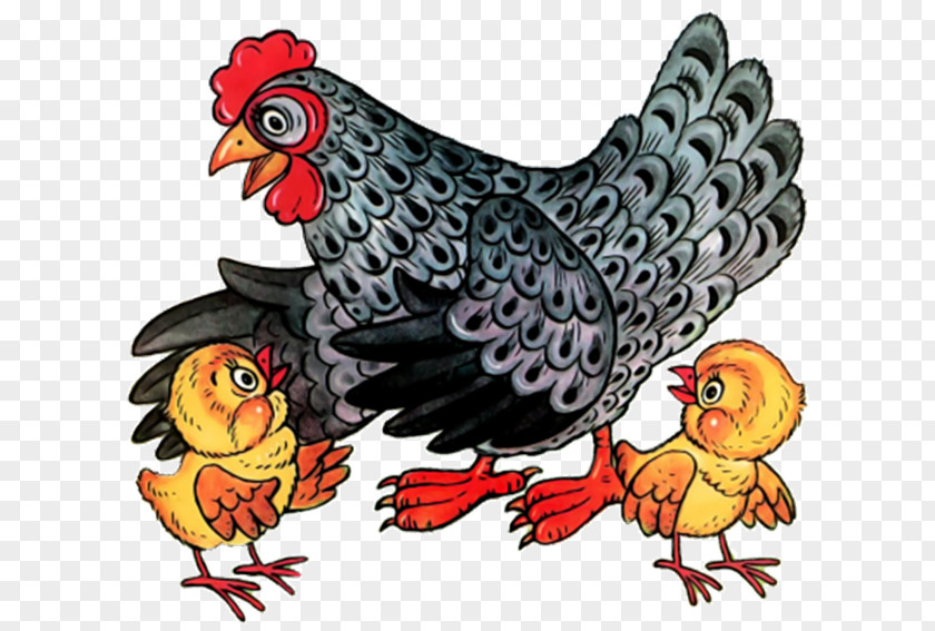 Chicken Rooster Hen And Chicks Clip Art PNG