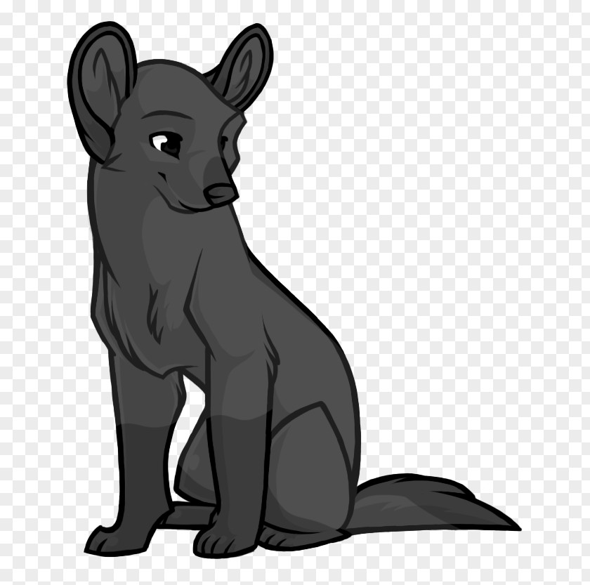 Dog Whiskers Cat Bear Marsupial PNG