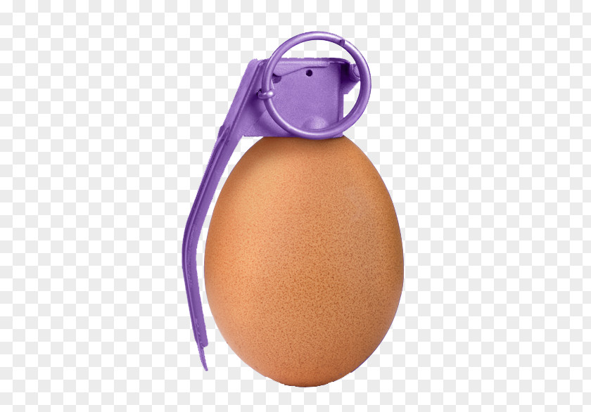 Egg Grenade Download Icon PNG