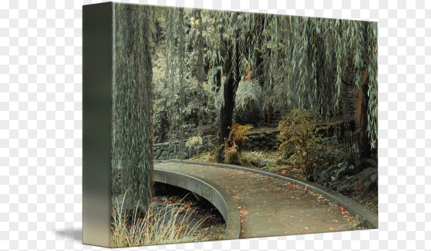 Garden Path Woodland /m/083vt Printing Canvas PNG