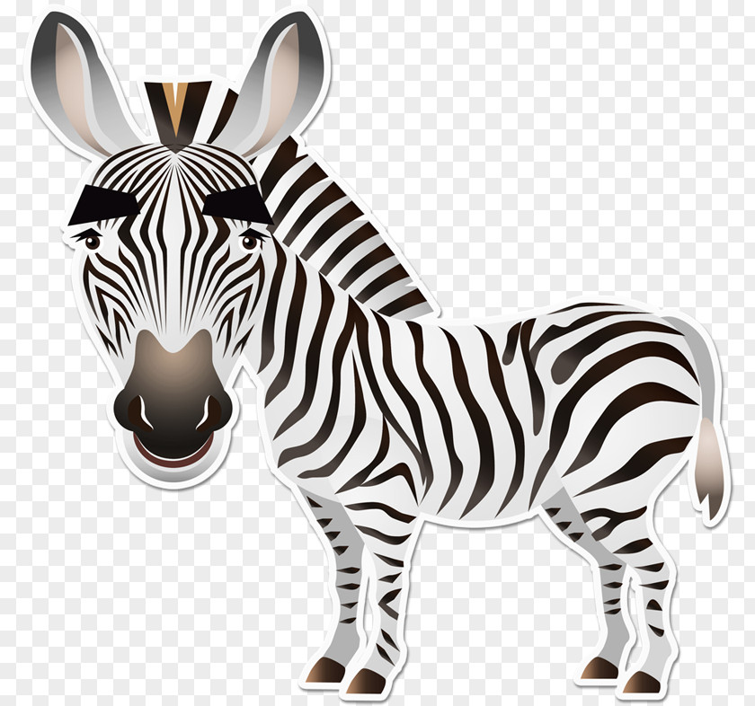 Horse Quagga Zebra Pony PNG