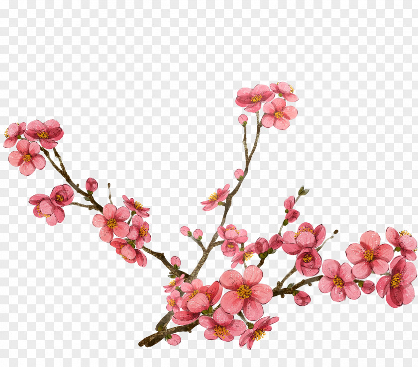 Pink Plum Blossom Design Watercolor Painting Clip Art PNG