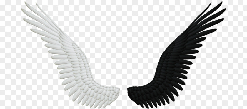 Angel Feathers Mask Crow Child Craft PNG