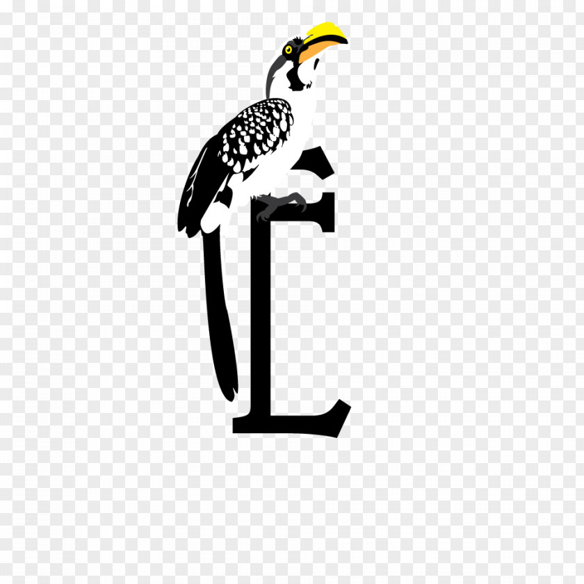 Bird Beak Hornbill Clip Art PNG