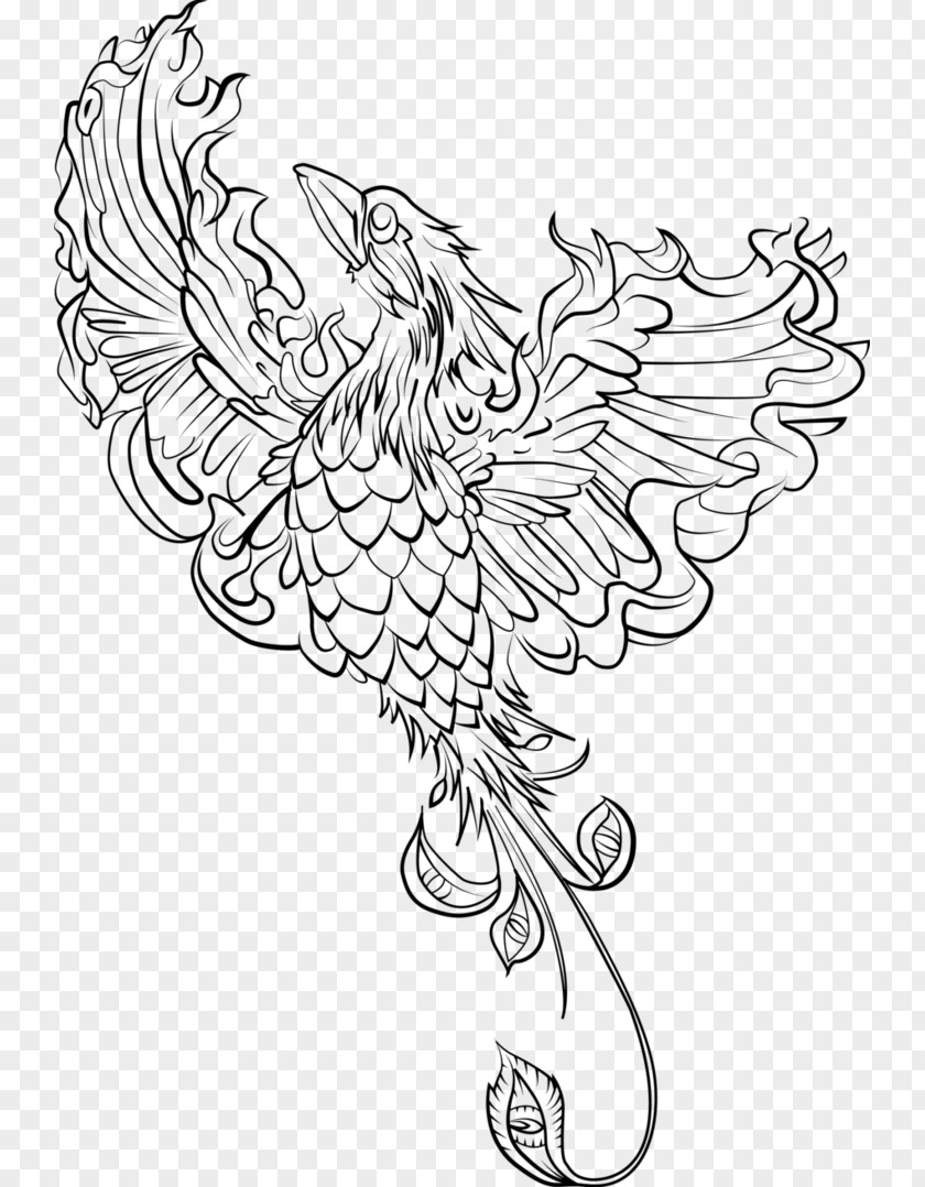 Phoenix Coloring Book Adult Drawing Page PNG