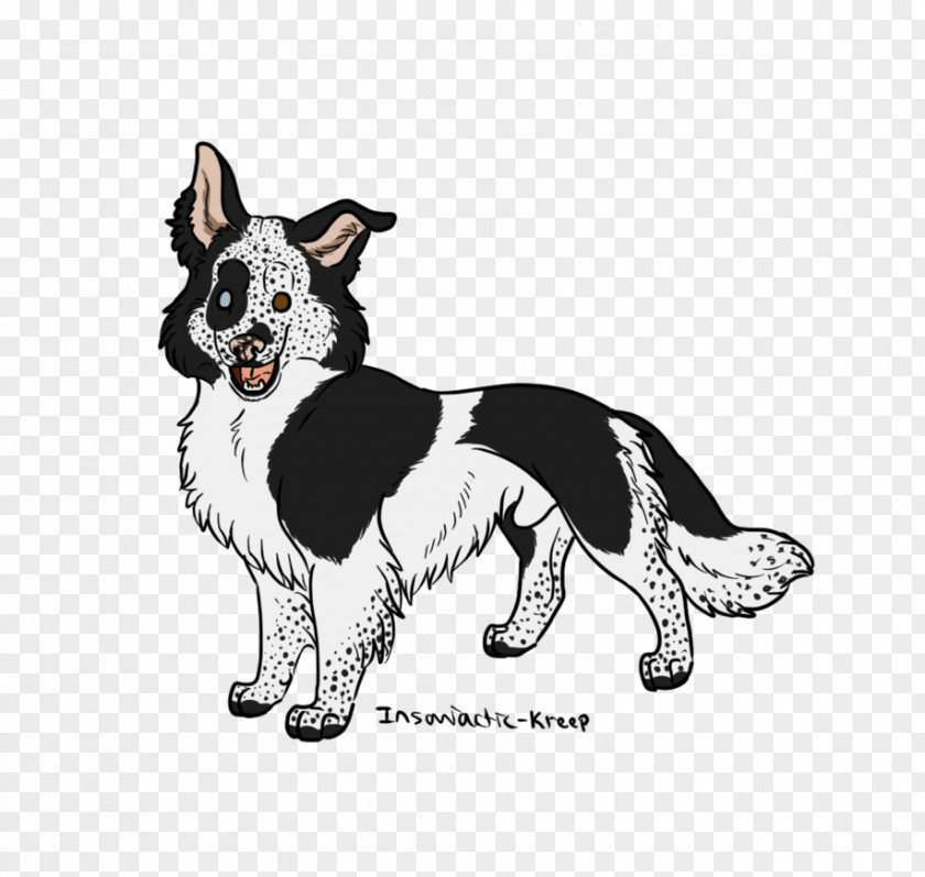 Border Collie Dog Breed Rough Drawing Leash PNG