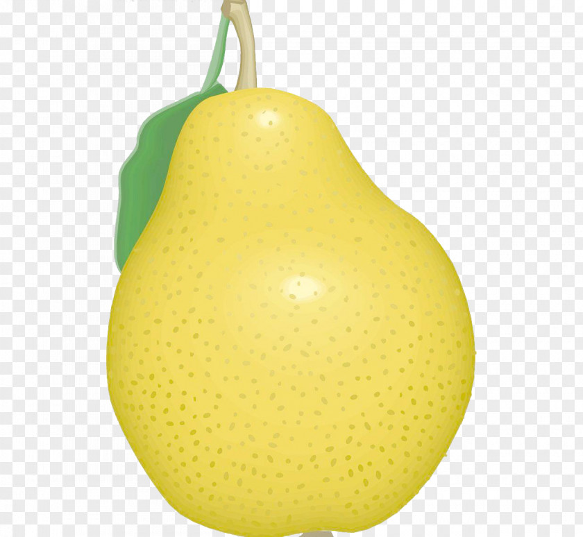 Cartoon Pears Pear PNG