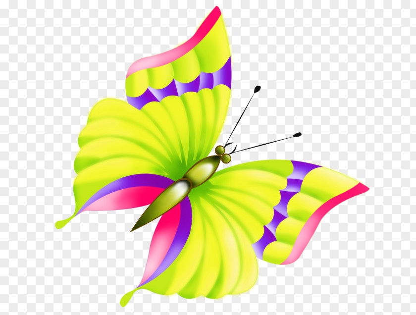Child Flower Butterfly Coloring Book PNG