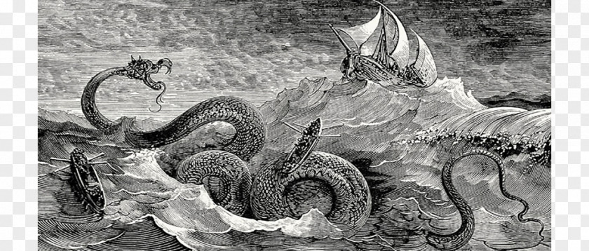 Dragon La Mythologie Du Rhin Jörmungandr Fairy Tale Leviathan PNG