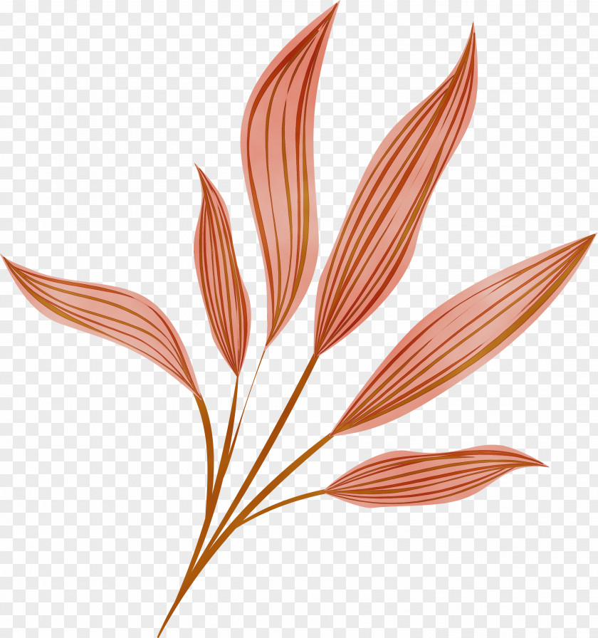 Leaf Plant Flower Grass Family PNG