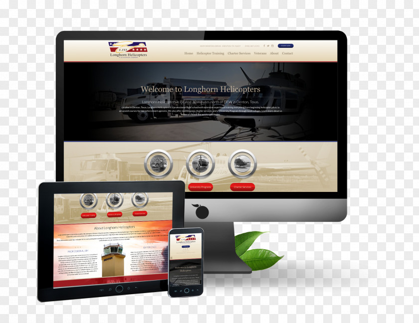 Longhorn Web Development Responsive Design Digital Marketing PNG