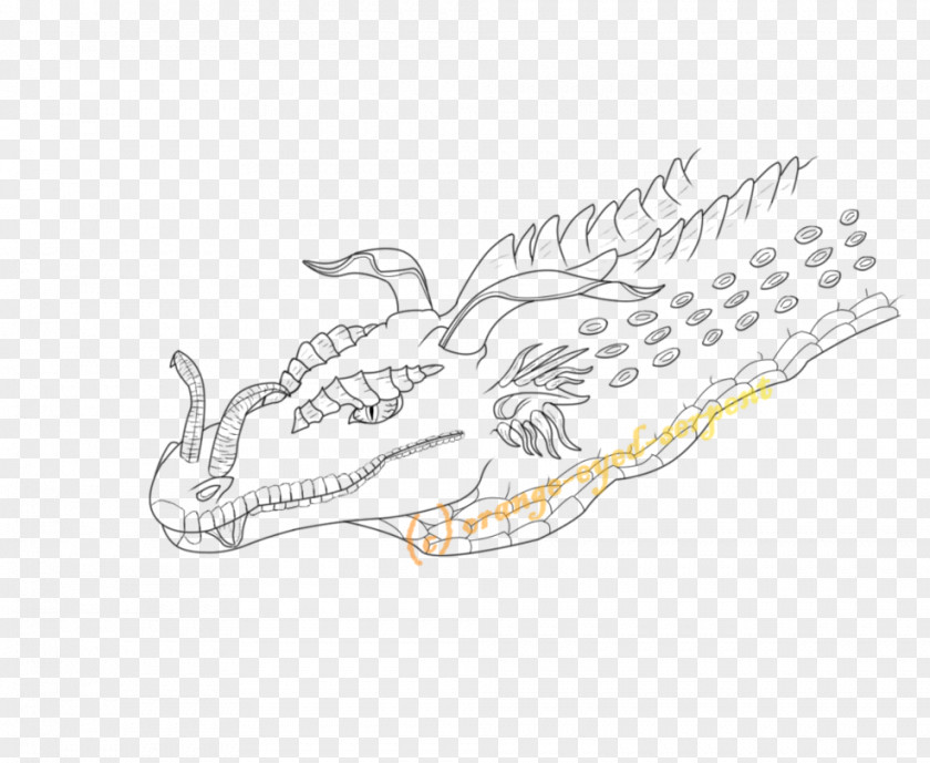 Design Vertebrate Drawing PNG