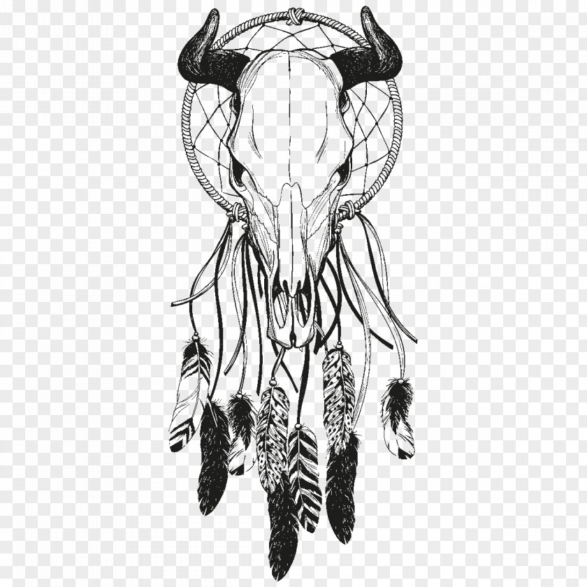 Dreamcatcher Drawing Feather PNG