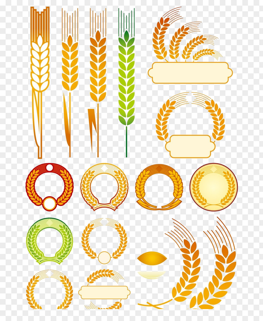 Wheat Common Logo Ear Illustration PNG