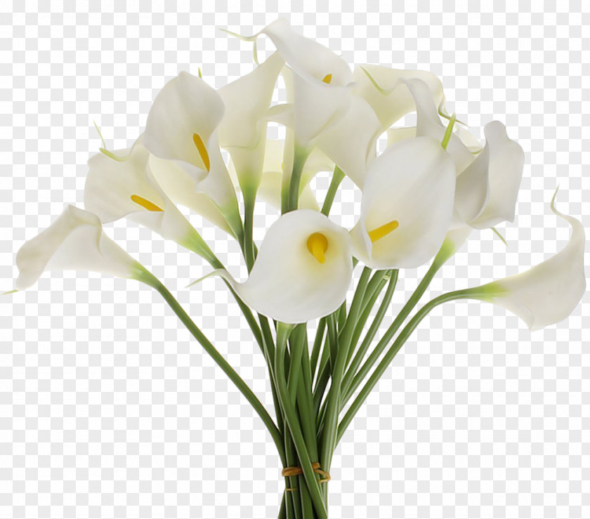 Callalily Artificial Flower Bouquet Arum-lily Wedding PNG