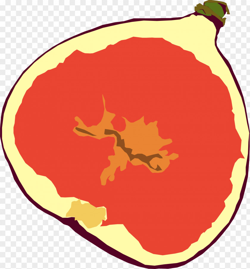 Fig Common Fruit Leaf Clip Art PNG