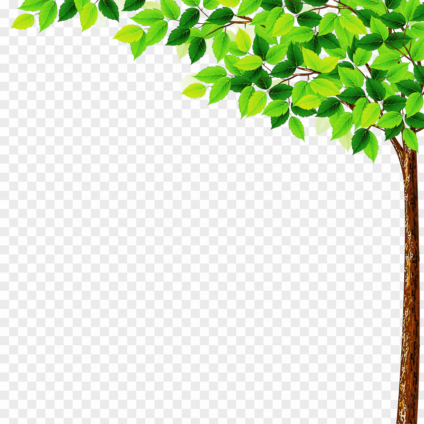 Flower Twig Green Leaf Tree Plant Branch PNG