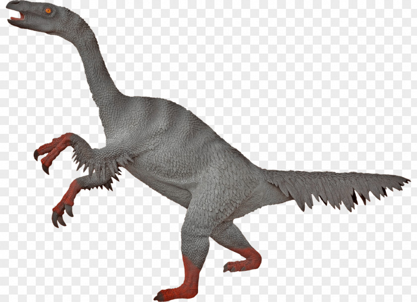 Goose Nothronychus Therizinosaurus Moab Giants Tyrannosaurus PNG