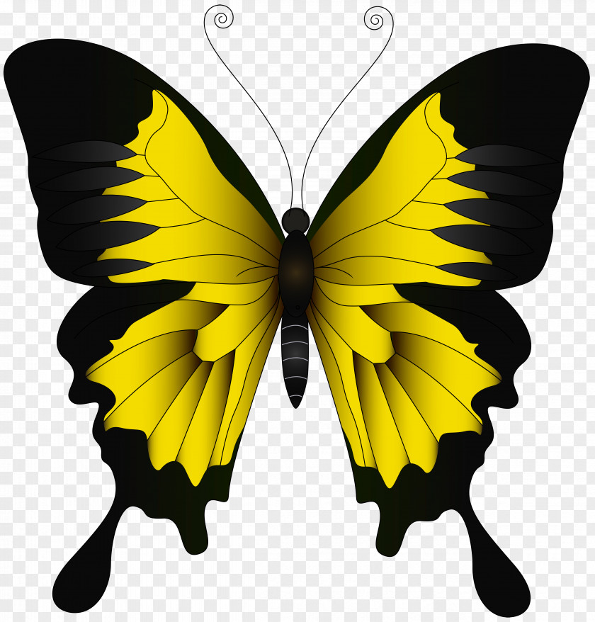 Yellow Butterfly Clip Art Image Monarch Green PNG