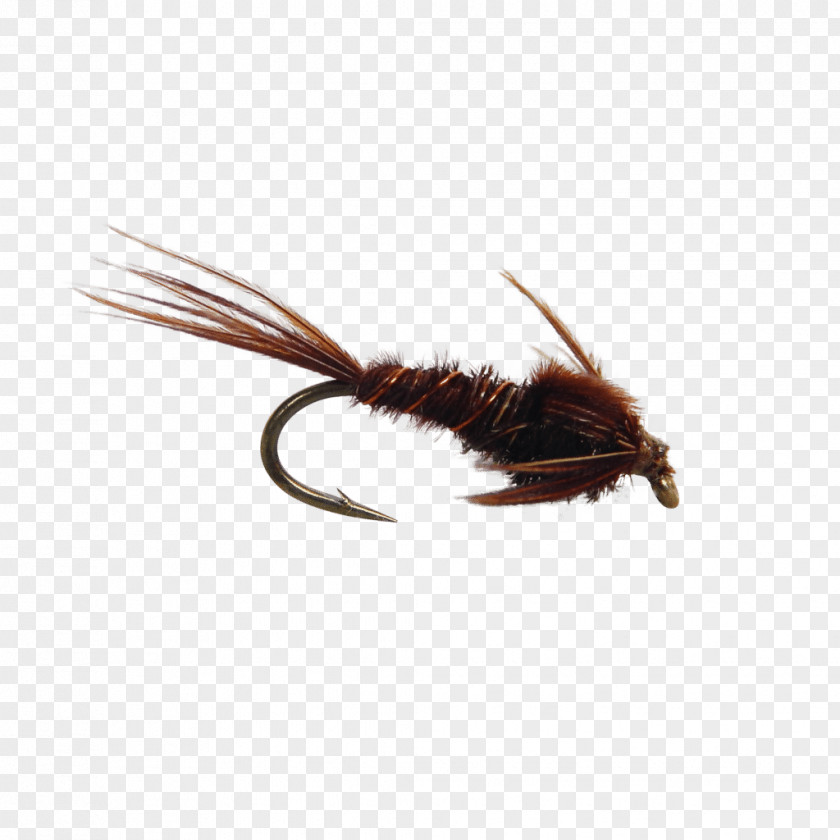 Artificial Fly Fishing Pheasant Tail Nymph Tying PNG