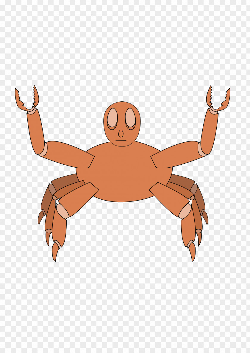 Crab Dungeness Vertebrate Clip Art PNG