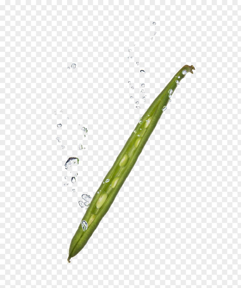 Green Peas Water Pea Vegetable Photography Bean PNG