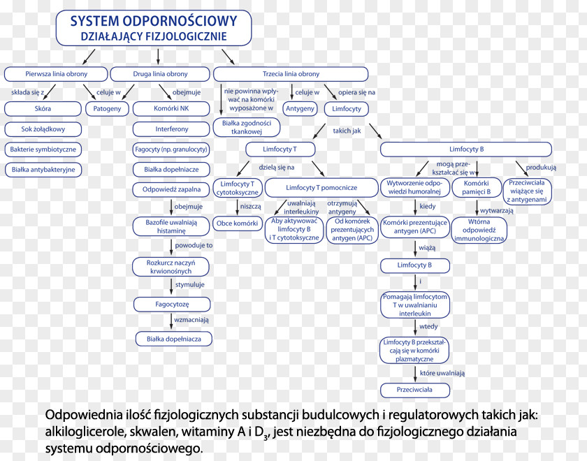 Pions Marinex International. Sp. Z O.o. Disease Medicine Health Diagram PNG