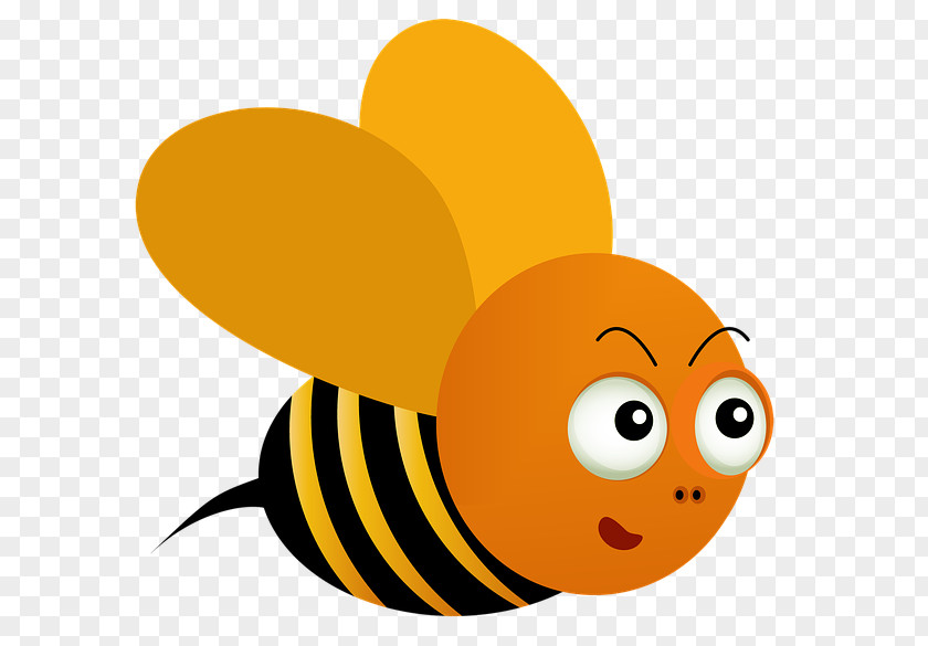 Bee Western Honey Clip Art Illustration Vector Graphics PNG
