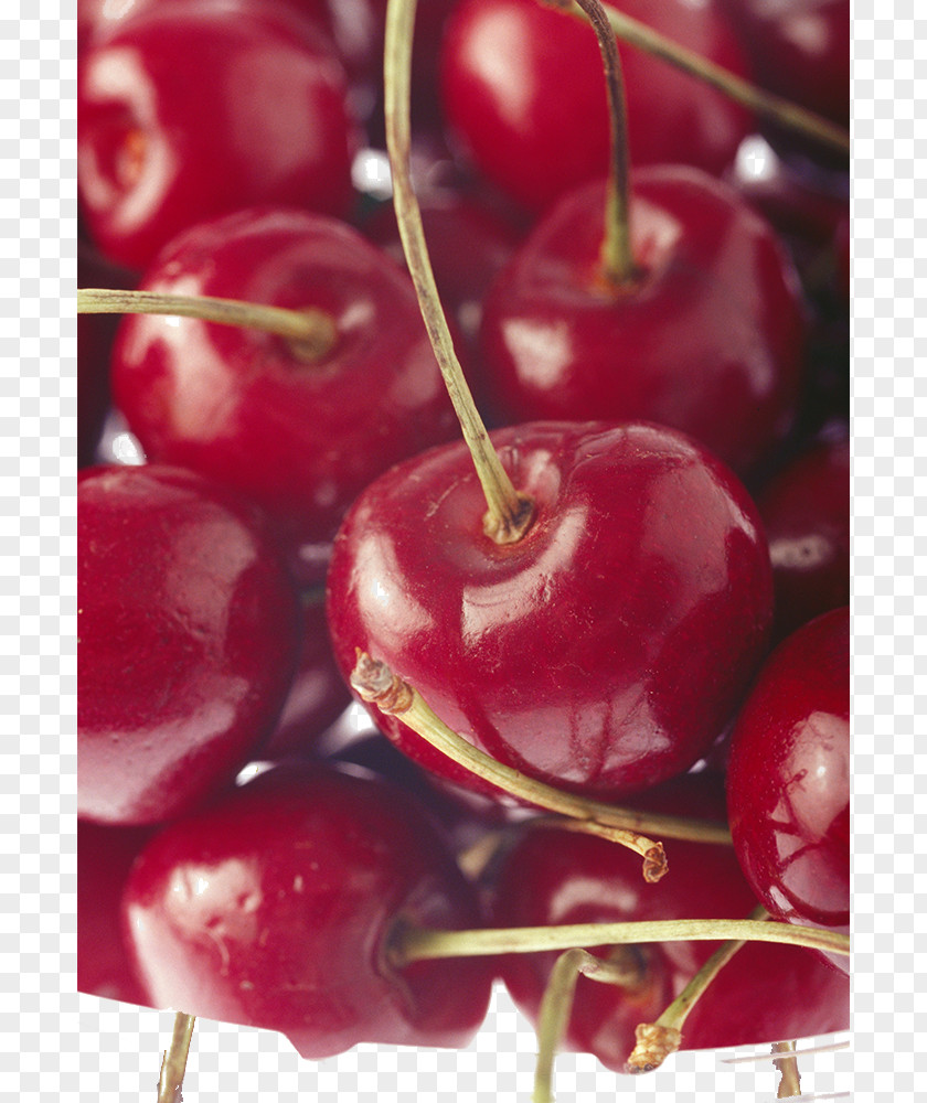Crimson Cherry Auglis PNG