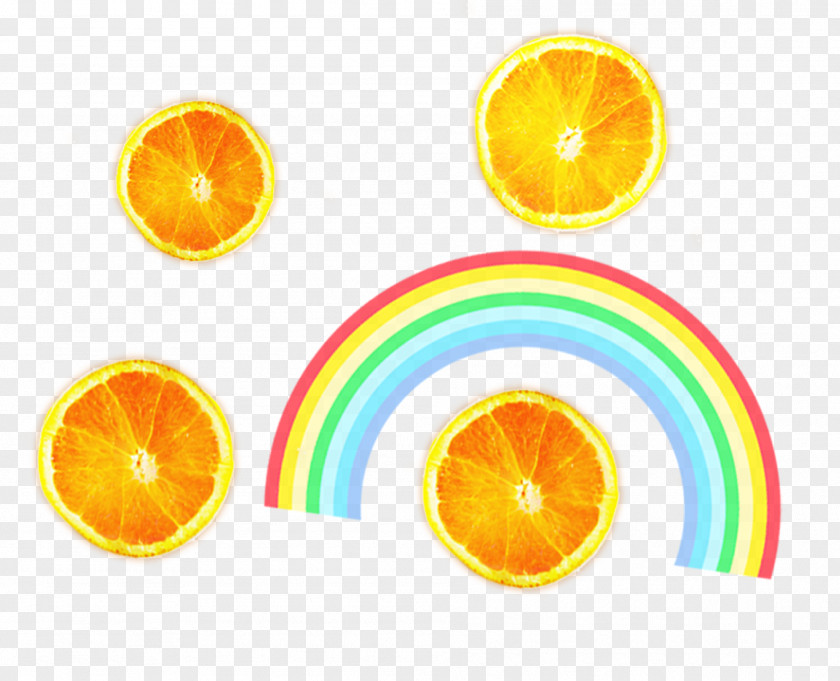 HD Lemon Slices With Rainbow Picnic PNG