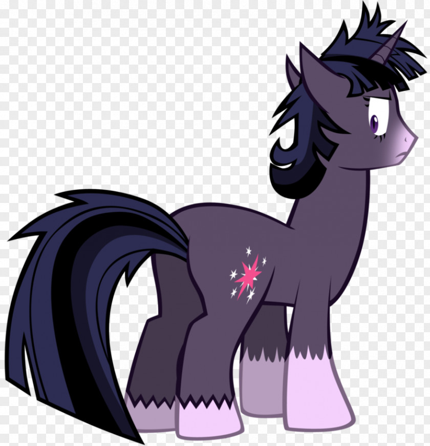 Shine Vector My Little Pony Twilight Sparkle Winged Unicorn PNG