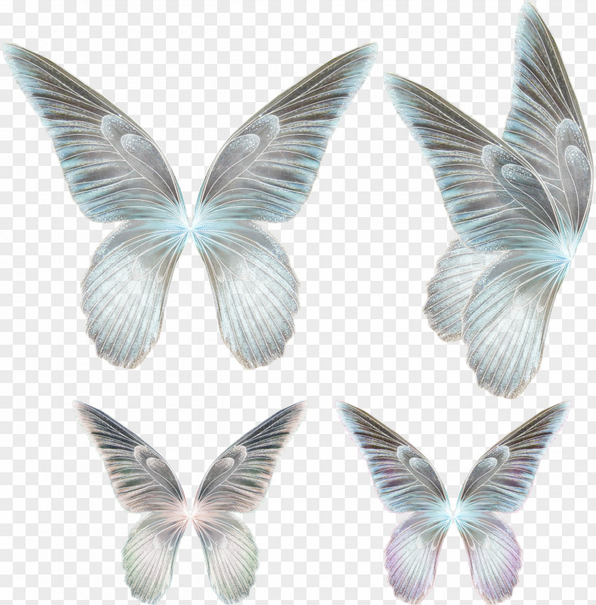 Butterfly Drawing Feather PNG