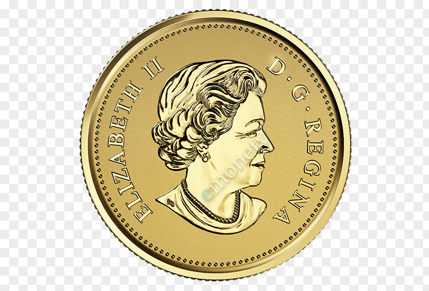 Coin Gold Australian Nugget PNG