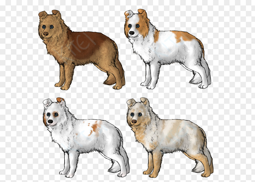 Puppy Dog Breed Rare (dog) Group PNG