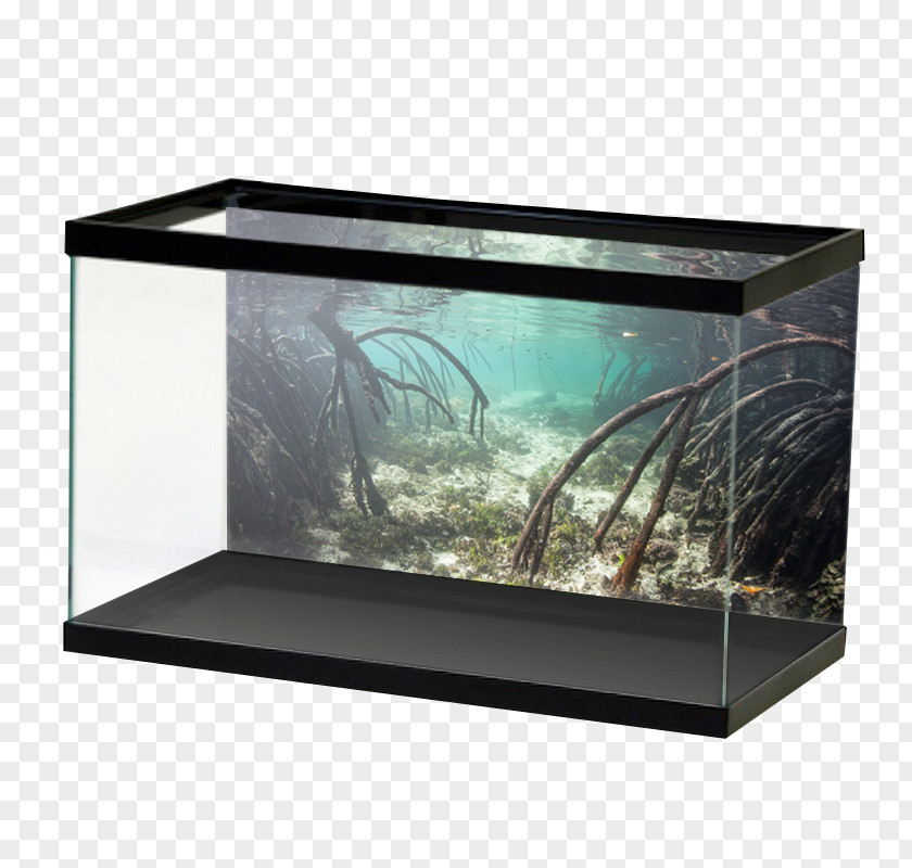 Aquarium Aquascaping Tetra Paludarium Akwaterrarium PNG